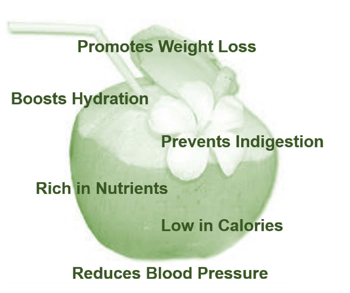 Coconut Water Benefits