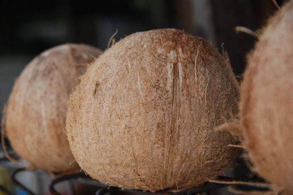 De-husked Coconuts